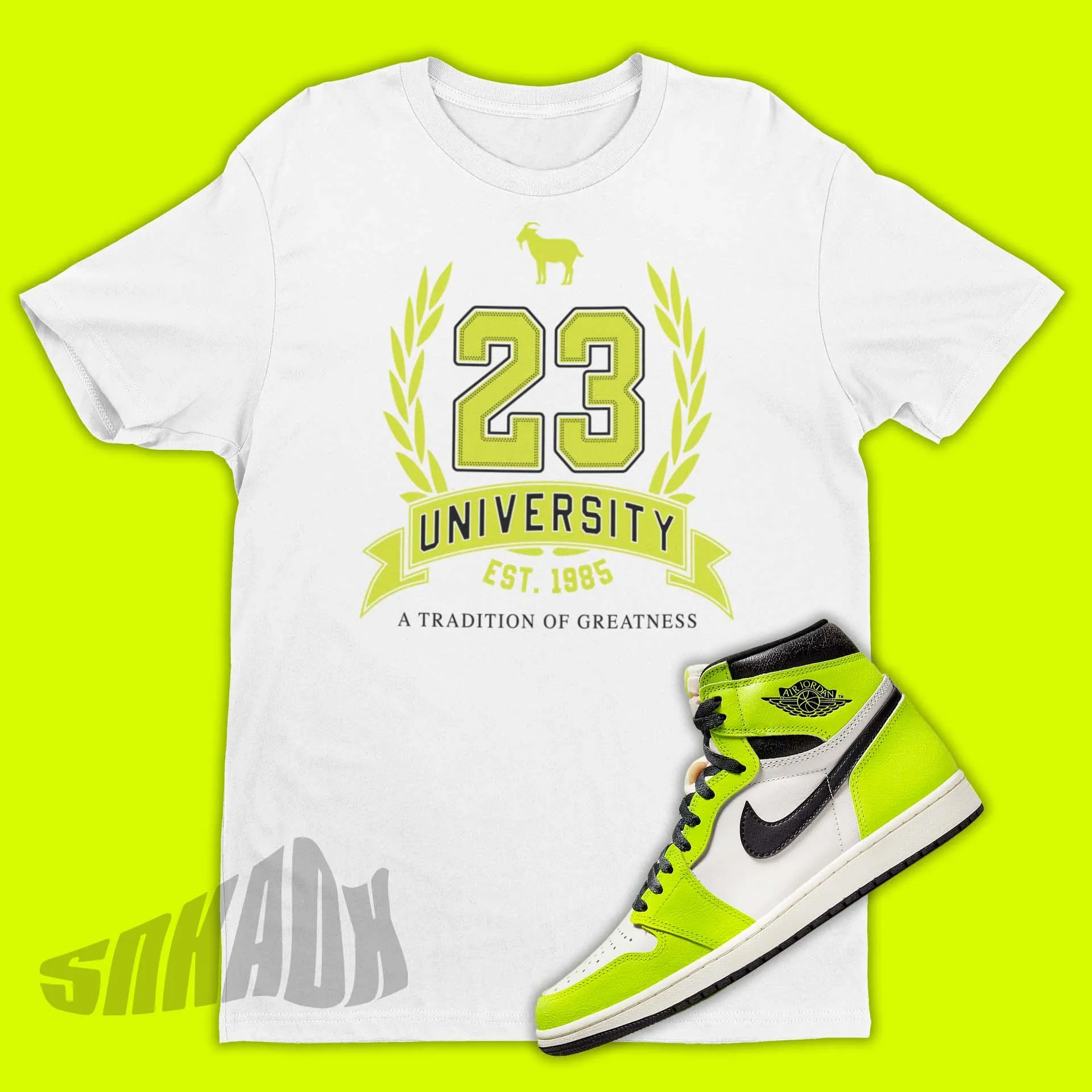 23 University Shirt To Match Air Jordan 1 Visionaire