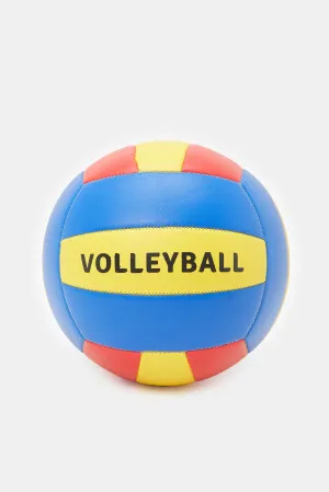 Blue And Yellow Volleyball