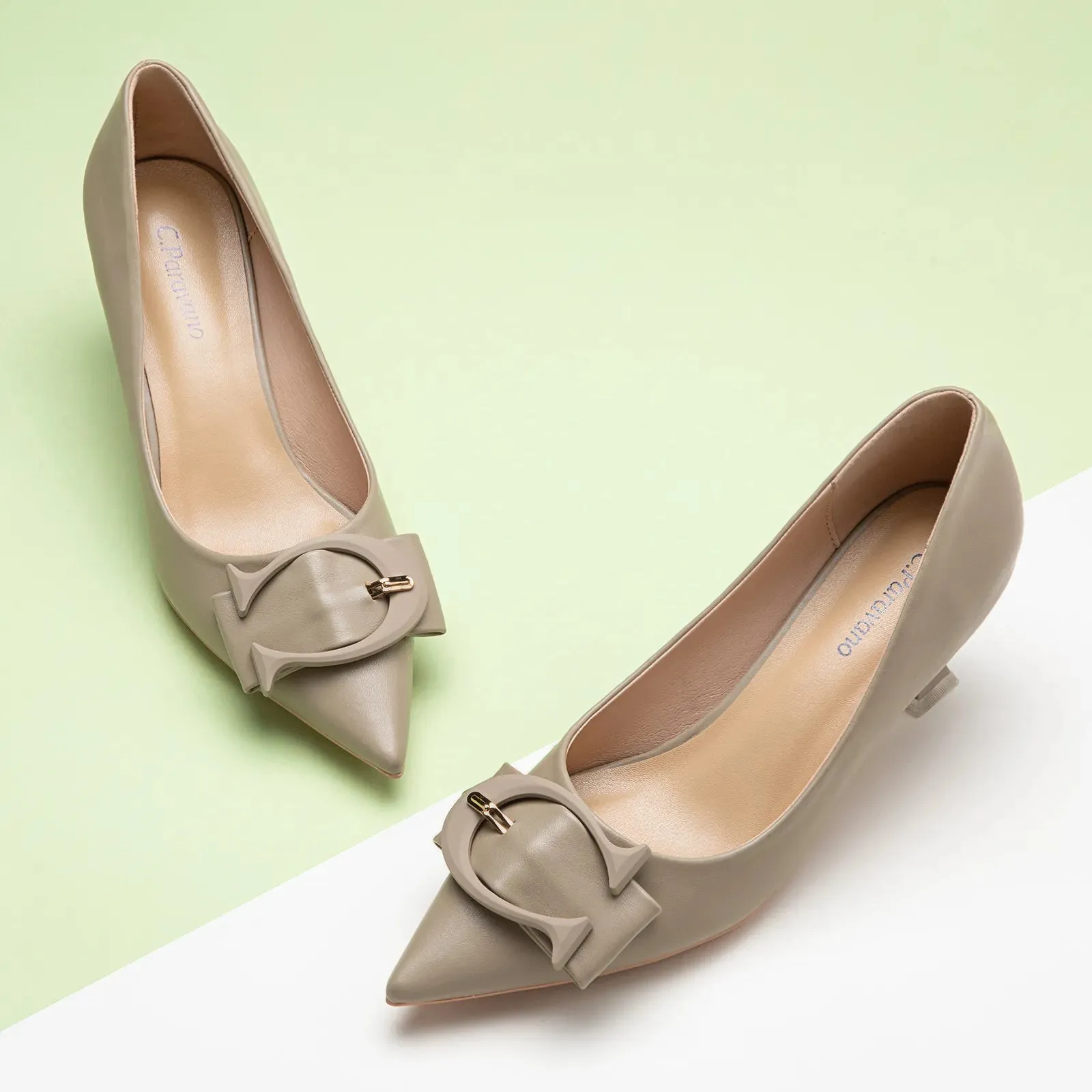 C Buckle Pointed Toe Pumps (Olivia)