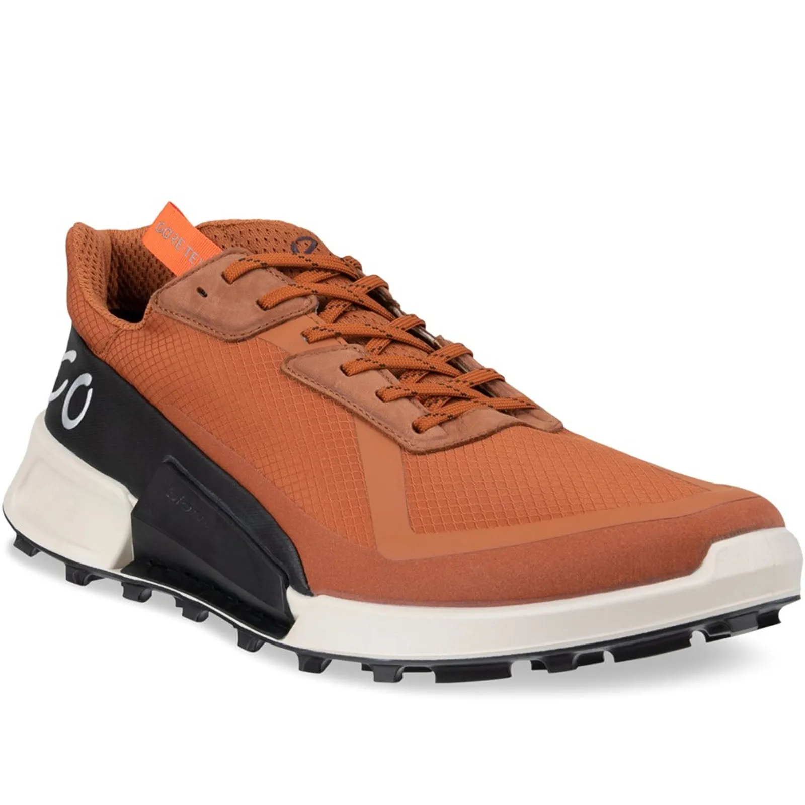 ECCO Mens BIOM 2.1 X Country GORE-TEX Trainers