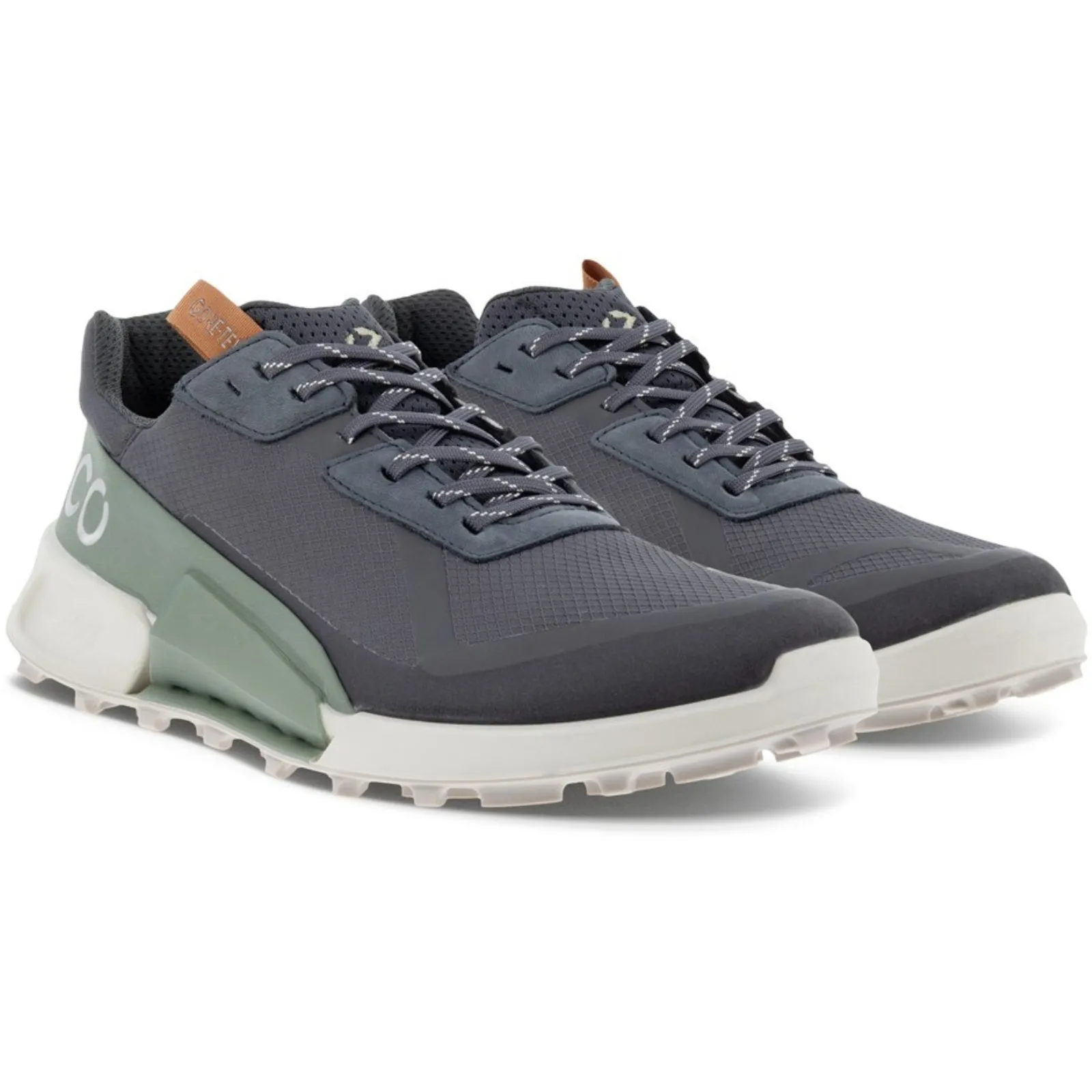 ECCO Mens BIOM 2.1 X Country GORE-TEX Trainers