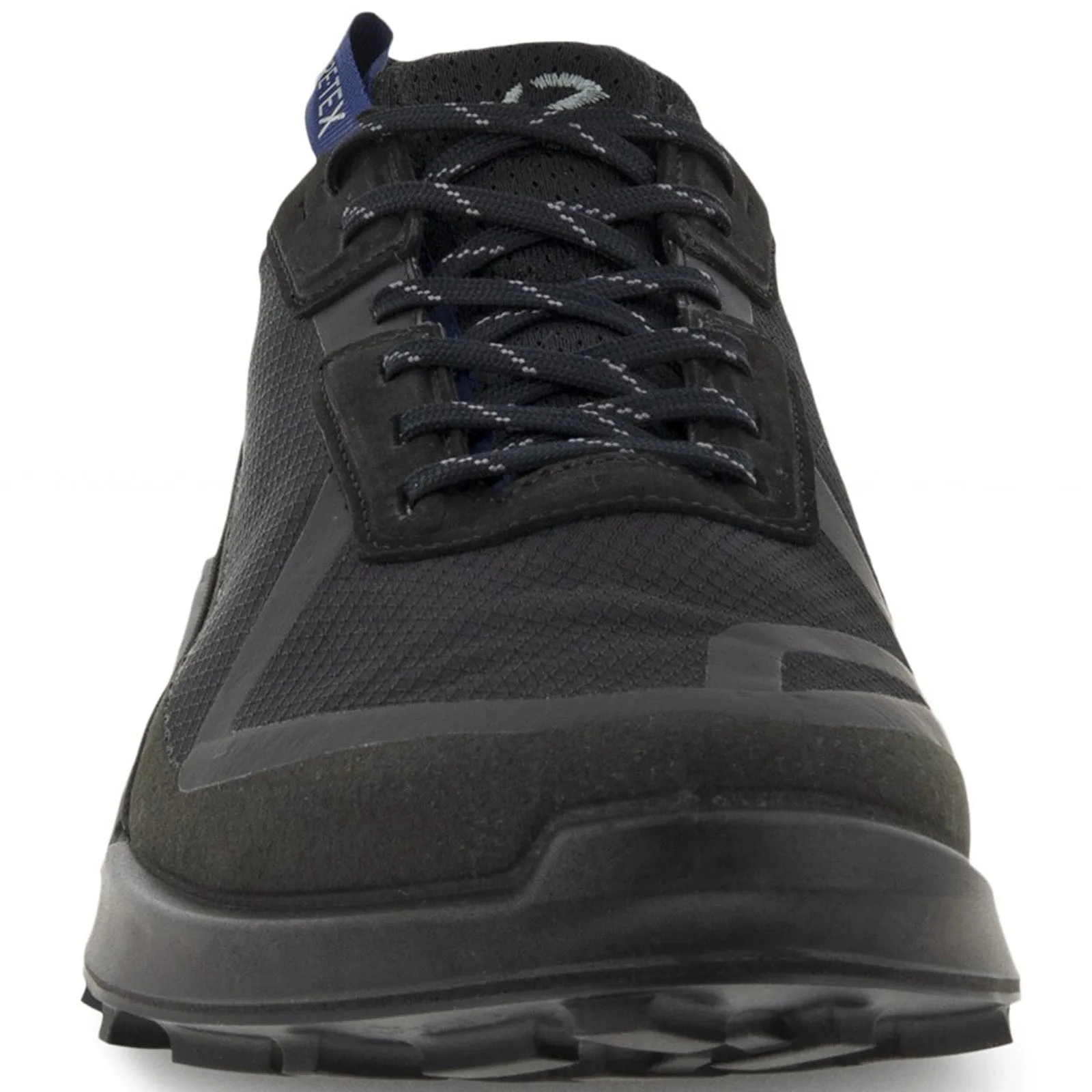 ECCO Mens BIOM 2.1 X Country GORE-TEX Trainers