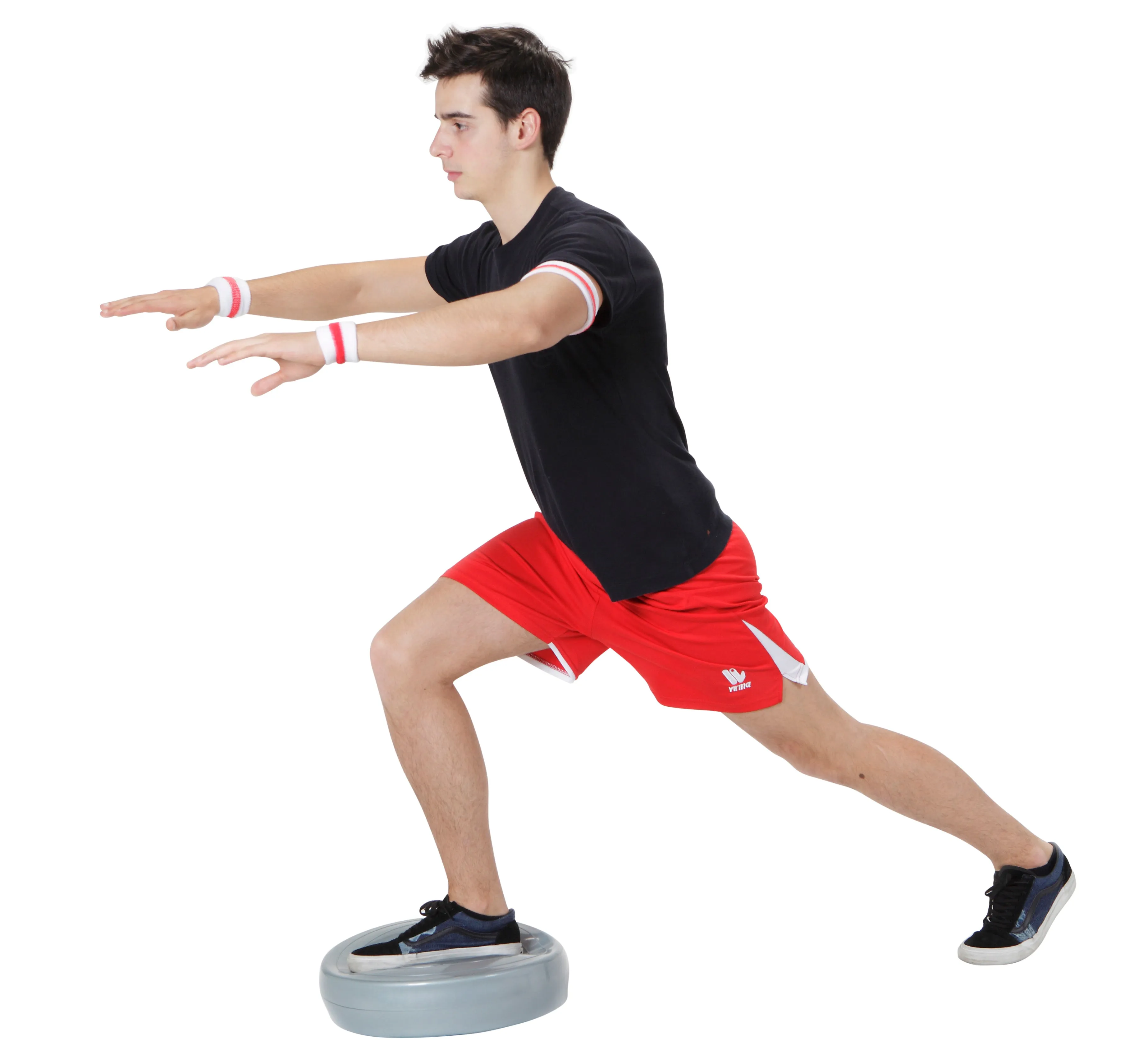 Gymnic Stability Wheel