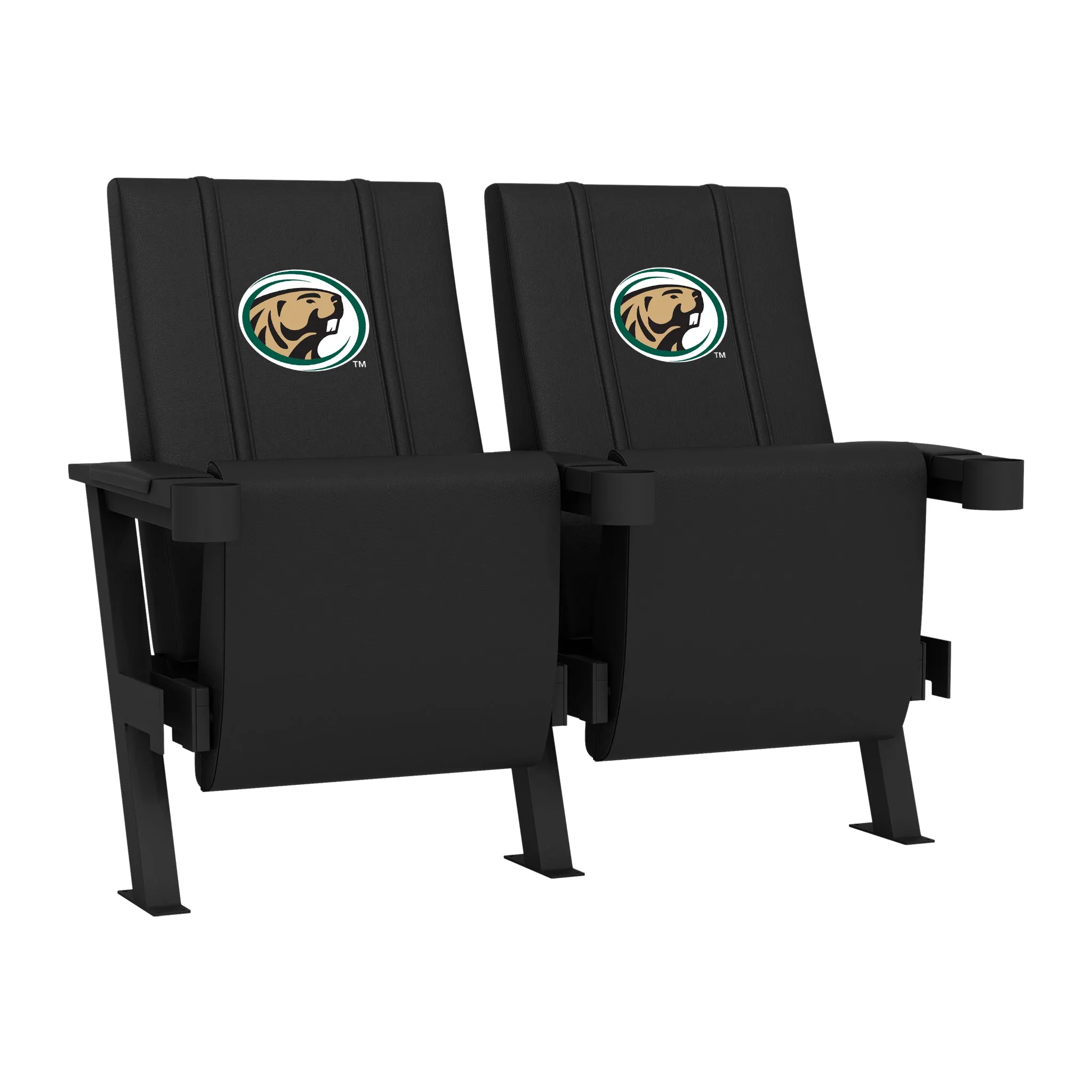 SuiteMax 3.5 VIP Seats with Bemidji State University Primary Logo