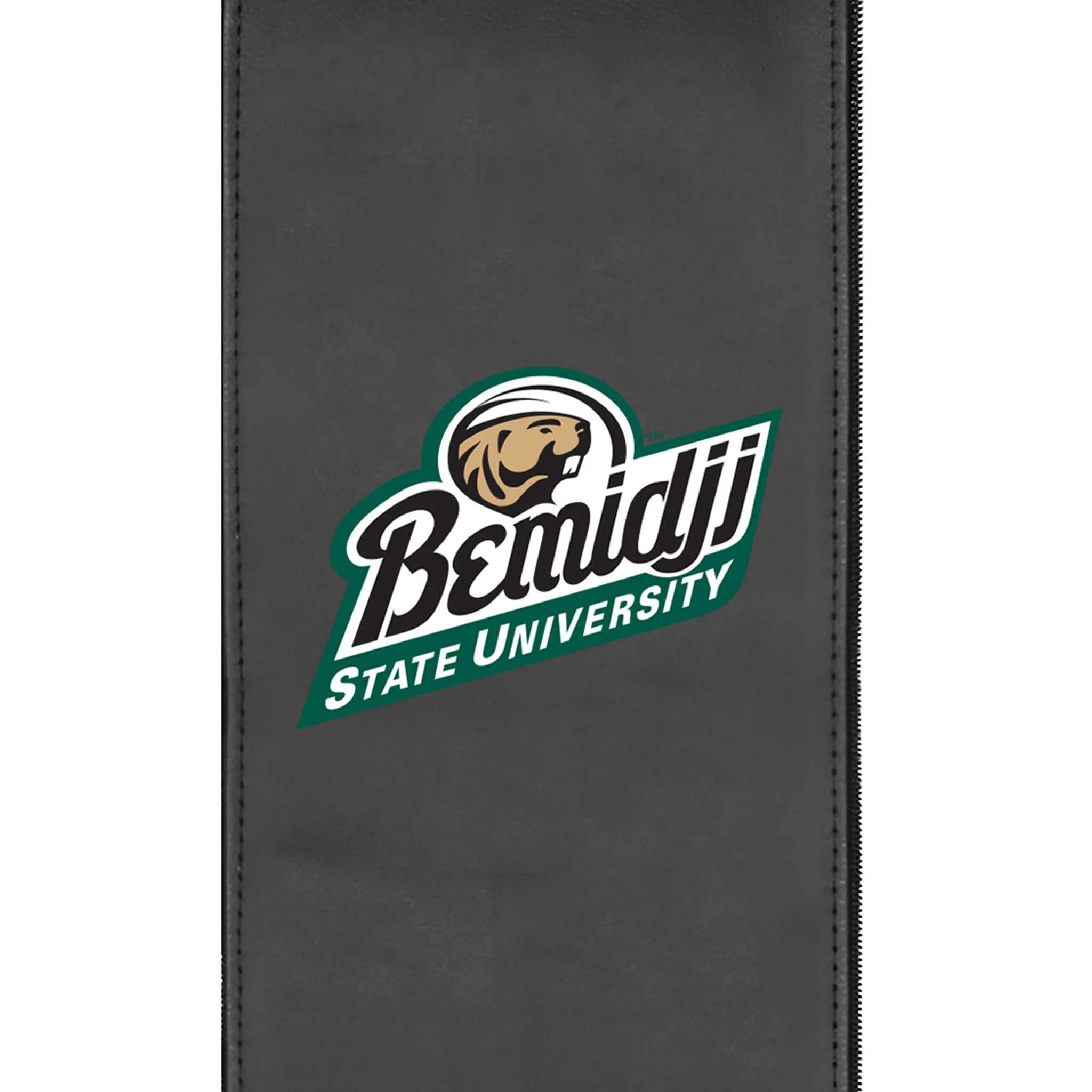 SuiteMax 3.5 VIP Seats with Bemidji State University Secondary Logo